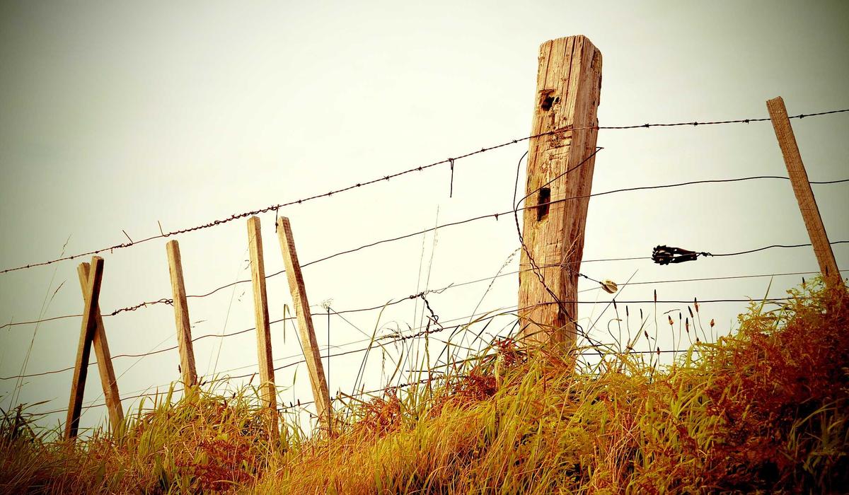 A different way to approach collecting reliable sources